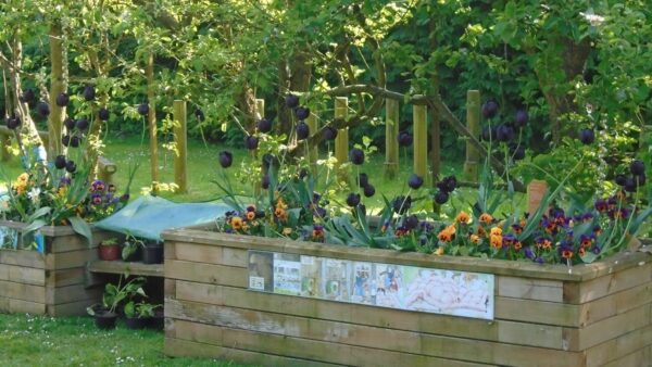 Virtual Tour Gardening